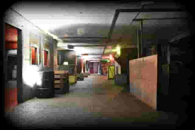 Bunker 51