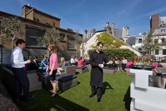 The Rooftop Terrace