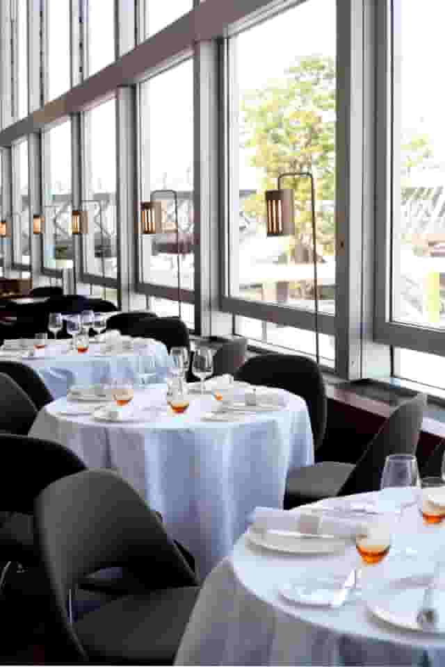 Skylon