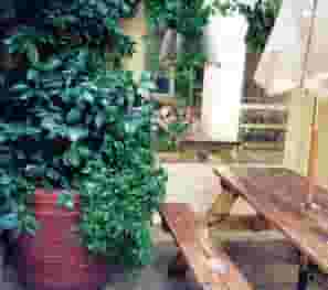 The Banksy Beer Garden