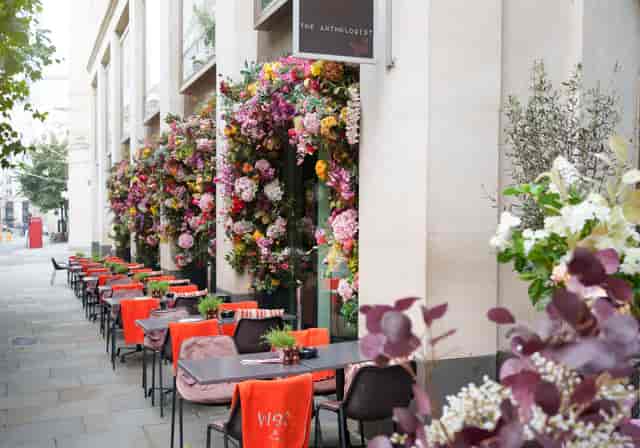 The Anthologist - image 2