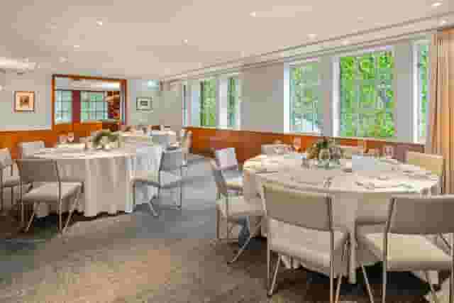 Bluebird Chelsea