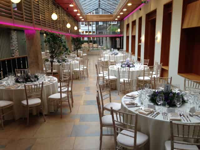 Wedding Reception