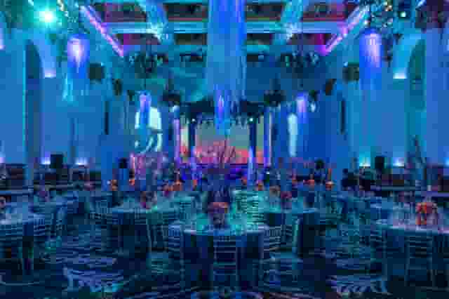 Whole Venue