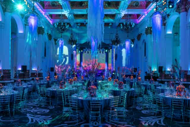 Whole Venue