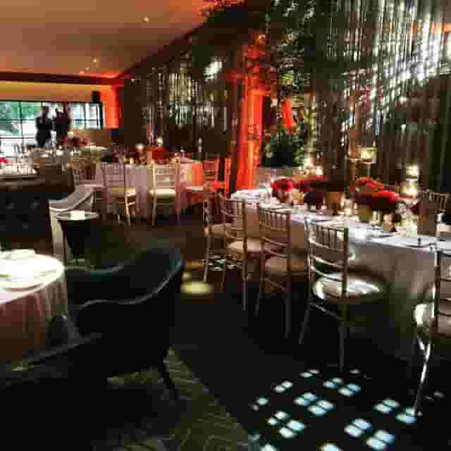Bluebird Chelsea