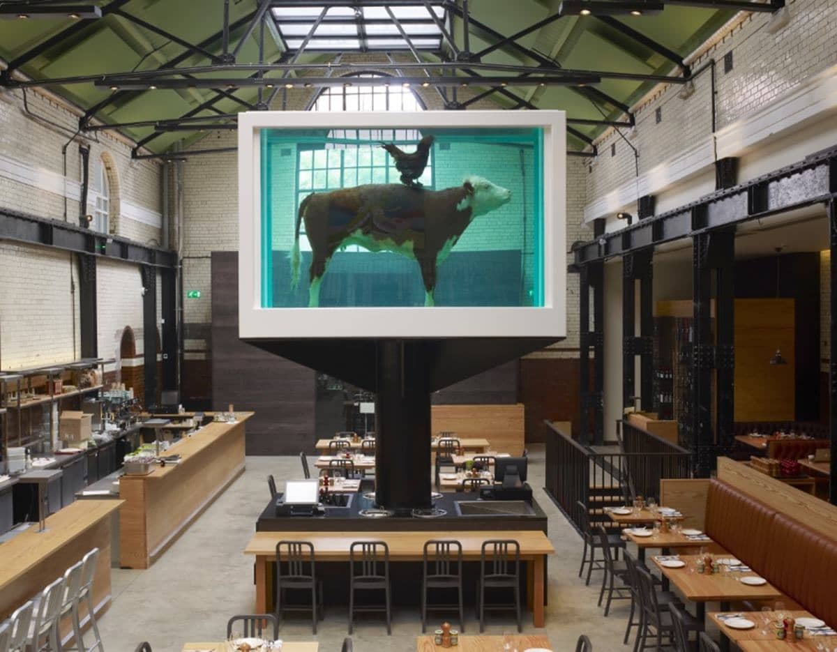Cow in Formaldehyde